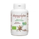 GPH DIFFUSION HARPAGOPHYTUM BIO 330 MG - 200 GELULES