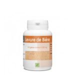 GPH DIFFUSION LEVURE DE BIERE - 100 GELULES
