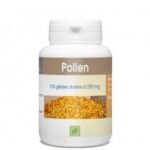 GPH DIFFUSION POLLEN - 100 GELULES