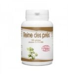 GPH DIFFUSION REINE DES PRES - 100 GELULES