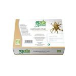 GPH DIFFUSION HARPAGOPHYTUM 15 ML - 20 AMPOULES