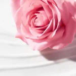 NUXE VERY ROSE LAIT DÉMAQUILLANT - 200 ML – Image 2