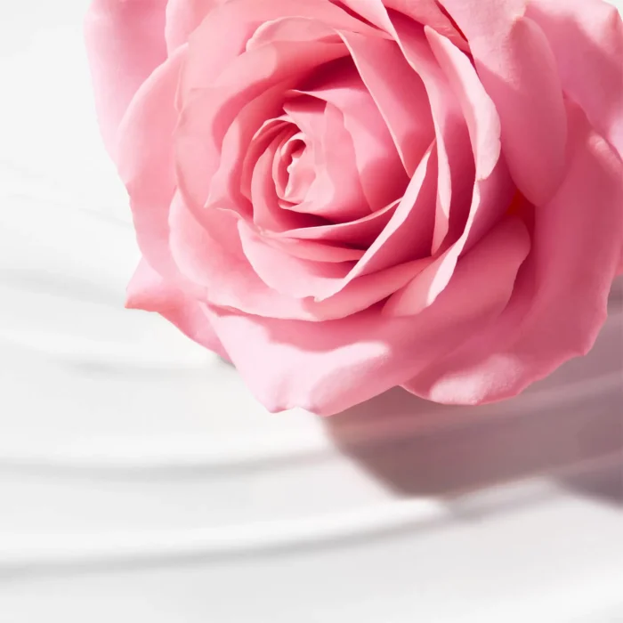 NUXE VERY ROSE LAIT DÉMAQUILLANT - 200 ML – Image 2
