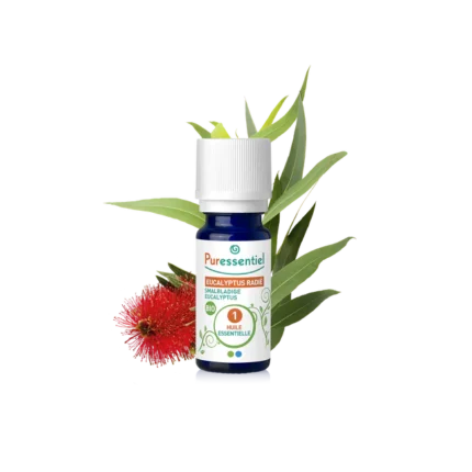 PURESSENTIEL HUILE ESSENTIELLE EUCALYPTUS RADIE BIO - 10 ML