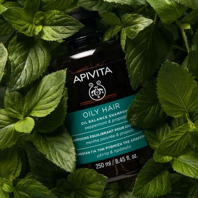 APIVITA SHAMPOOING EQUILIBRANT CHEVEUX GRAS - 250 ML 3 APIVITA SHAMPOOING EQUILIBRANT CHEVEUX GRAS - 250 ML – Image 3