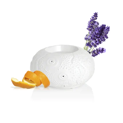 PURESSENTIEL DIFFUSEUR A CHALEUR DOUCE CALVI