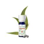 PURESSENTIEL HUILE ESSENTIELLE EUCALYPTUS GLOBULEUX BIO - 10 ML