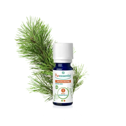 PURESSENTIEL HUILE ESSENTIELLE PIN SYLVESTRE BIO - 5 ML