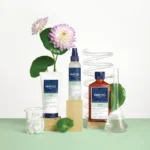 PHYTO VOLUME APRÈS-SHAMPOOING VOLUMATEUR - 175 ML – Image 2