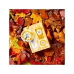 ROGE & GALLET COFFRET AUTOMNE BOIS D'ORANGE - 100 ML – Image 2