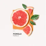 SOLINOTES EAU DE PARFUM POMELO – 50 ML – Image 4