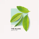 SOLINOTES EAU DE PARFUM THE BLANC – 15 ML – Image 3